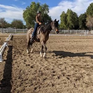 Meet your Posher, Abby